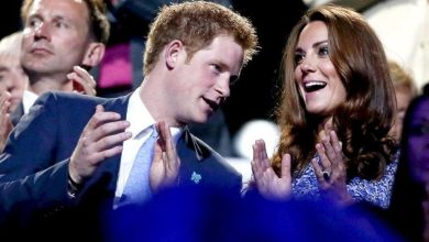 Prince Harry ‘concerned’ over Kate's stories, ‘scraps’ his Spare sequel out of fear that…