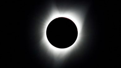 2024 Total Solar Eclipse: 10 interesting facts about the natural phenomenon