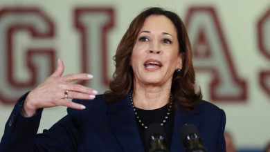Kamala Harris claps along as man in Puerto Rico sings in Spanish, only to realise he was protesting her