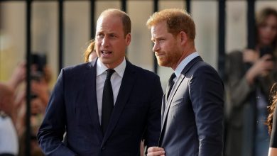 Prince William not interested to see Harry after Kate's cancer, wants to avoid ‘drama,' friends say