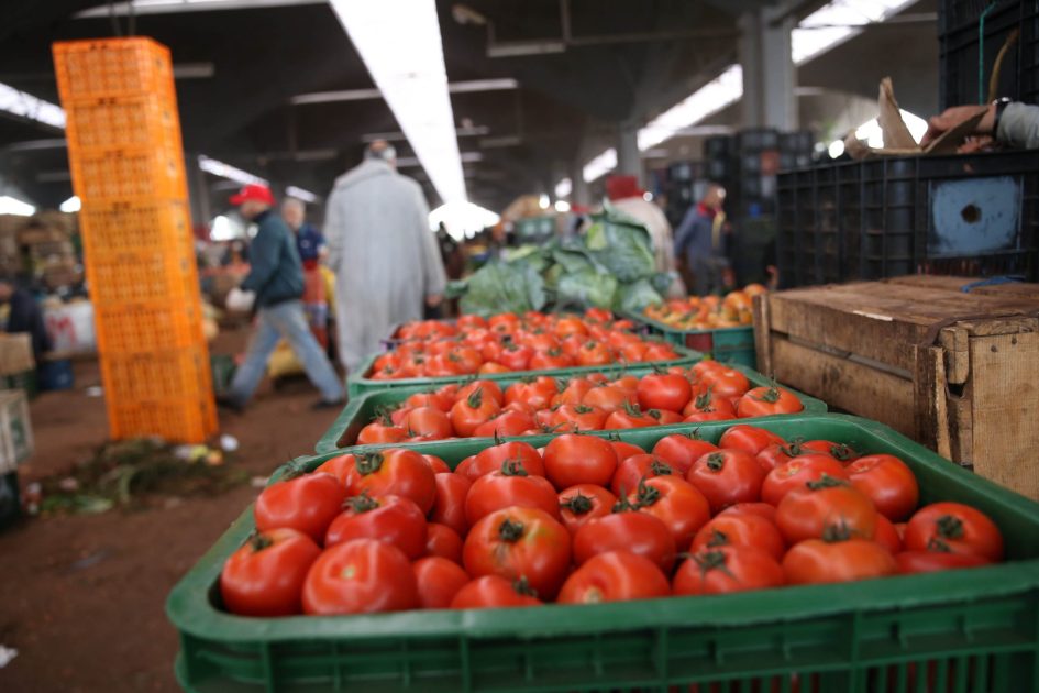 Soaring Tomato Prices in Morocco at the Start of Ramadan