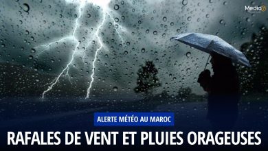 Rafales de Vent et Pluies Orageuses