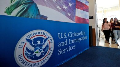 H-1B Lottery Results: Got unlucky with your application? Expert outlines options