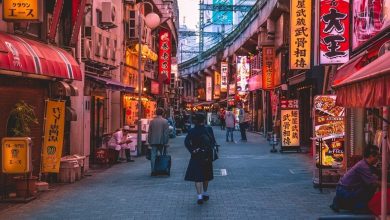 Japan introduces e-Visa for Indian tourists: From eligibility criteria to application process, here's a complete guide