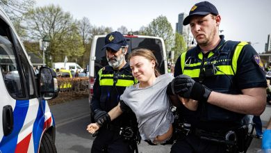 Climate activist Greta Thunberg detained at Dutch protest opposing ‘fossil fuel subsidies’