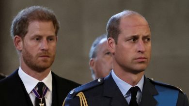 Prince Harry may 'spring surprise' on William during UK visit to end rift, but he still needs…