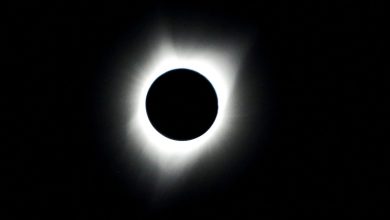 How to watch Solar Eclipse online: Guide to witness the biggest eclipse in US since 1970