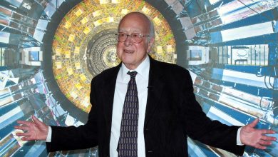 Peter Higgs, Nobel-winning physicist who shed light on Dark Matter, dies at 94