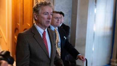 ‘The Great Covid Cover-Up’: Senator Rand Paul blows the lid off major federal agencies concealing facts