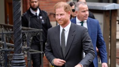 Prince Harry's US visa application under scrutiny amid drug use lawsuit based on memoir ‘Spare’