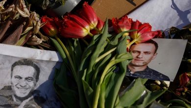 Posthumous memoir by Russian opposition leader Alexei Navalny to be published on October 22