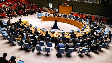 UN Security Council fail to reach consensus over Palestinian full membership