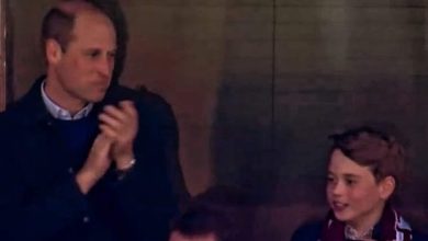 Prince William and son George spotted enjoying a football match at Villa Park in Illinois