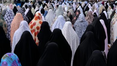 Iran police toughen controls on women without hijab