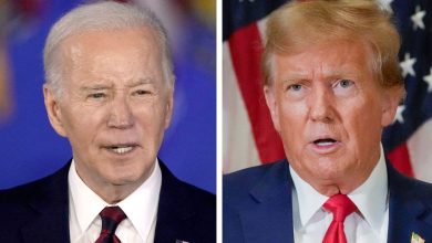 Survey: Biden almost caught up with Trump's early polling popularity