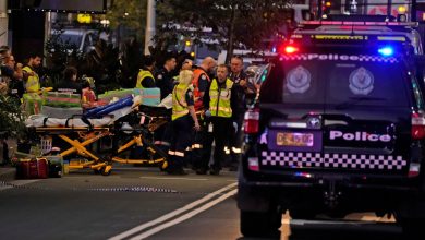 Stabbed in Sydney mall incident, mother saved her 9-month-old girl: Report