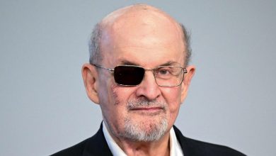 'Why didn't I fight…?': Salman Rushdie relives brutal knife attack in new memoir