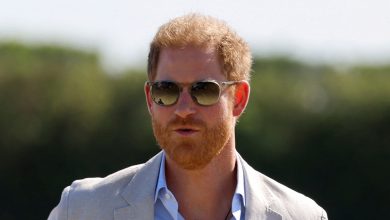 Prince Harry may step down from African Parks charity amidst abuse allegations
