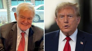 Newt Gingrich compares Trump's hush money trial to 'some of the civil rights workers in Mississippi in the 1960s'
