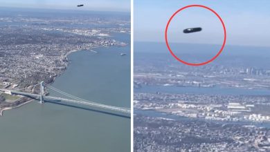 UFO caught on camera? Flight passenger captures shocking photo over LaGuardia Airport