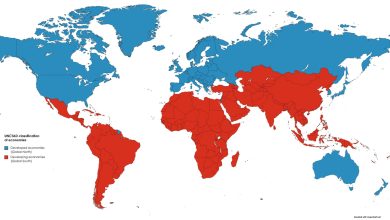 Who’s the big boss of the global south?