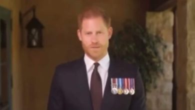'Ridiculous': Prince Harry under fire for donning four medals while honouring US servicewoman