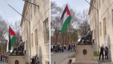 Netizens fume as Harvard University students fly Palestinian flag in spot reserved for American flag: 'Fall from grace’