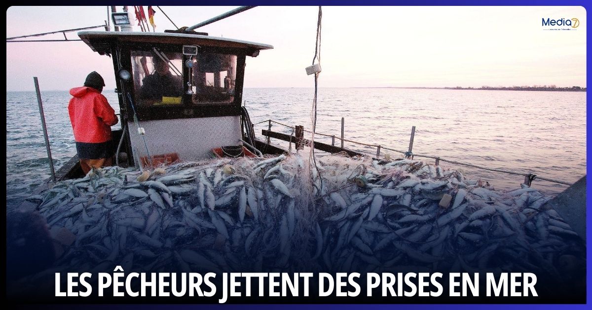 Fear of fines... Fishing boats throw tons of fish into the sea