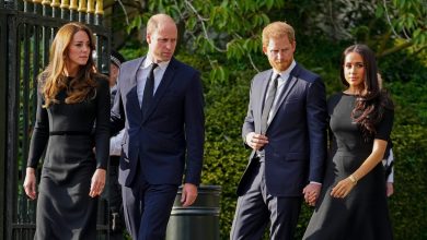 Kate Middleton, Prince William won't meet Prince Harry to avoid stress when he visits UK, couple's friends say