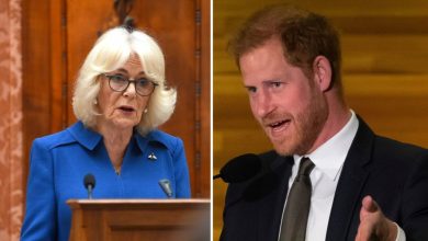 Queen Camilla to ‘snub’ Prince Harry during UK visit, unlikely she ‘will be in the same room’: report