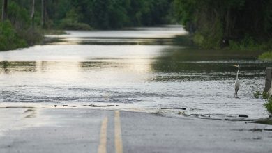 Texas floods: Hundreds rescued, evacuated amid heavy rains that left 4-yr-old boy dead