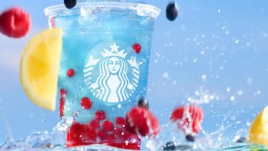 Starbucks introduces new boba tea-style drinks, here's what to know