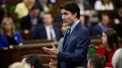 House of Commons passes motion on ‘foreign interference’ in Canada’s internal affairs