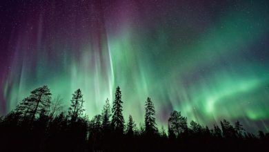 Severe solar storm: Northern lights to be visible across almost all of US