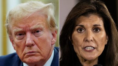 Donald Trump's trump move to clinch 2024 poll verdict? Mulls making Haley his VP candidate