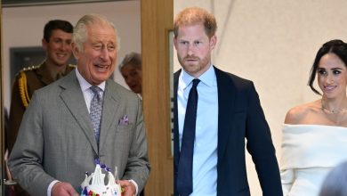 King Charles ‘of course wanted’ to meet Prince Harry on UK trip but failed because…