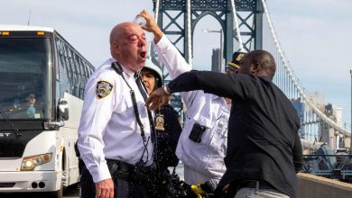Viral video shows top NYPD officer pepper-spraying himself while breaking up anti-Israel protest on Manhattan Bridge
