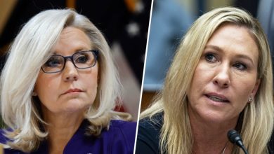 Liz Cheney, Marjorie Taylor Greene rip Mike Johnson for attending Trump's NY trial: ‘I cheated on my wife…'