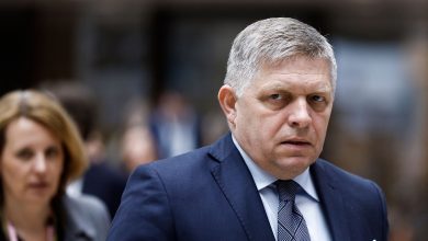 Slovakia PM Robert Fico injured in shooting, suspect detained