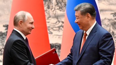 Putin says 'grateful' to China for Ukraine peace 'initiatives'