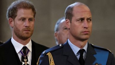 ‘Difficult’ Prince William not allowing Prince Harry to reconcile with King Charles, Queen Camilla's friend says