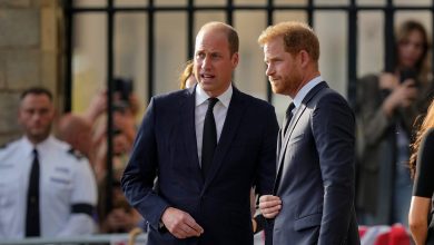 Prince Harry ‘ready to forgive’ Royal family but ‘tables have turned’ as King and William are…