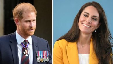 Kate Middleton meeting Prince Harry would be ‘the last thing she needs,’ Prince William's friend says