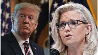 Liz Cheney calls Trump ‘dangerous’ for spreading debunked conspiracy theory, blasts GOP for 'blindly' following him
