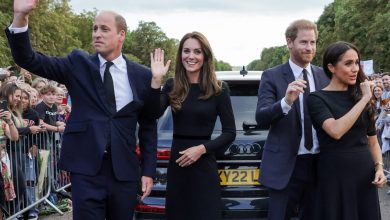 Prince Harry and Meghan Markle leave Kate Middleton ‘deeply upset’ because of…