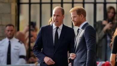 Prince Harry and William's relationship hits ‘final nail in the coffin’: Royal expert