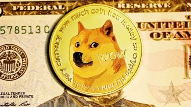 From rescue pup to meme star to Dogecoin face: How Kabosu became most loved dog