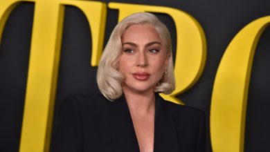 Lady Gaga shares exciting update on her new album, addresses rumours of ‘Telephone’ sequel with Beyonce