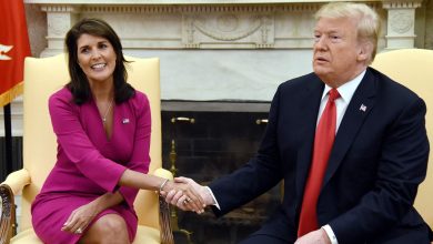 Trump believes Nikki Haley will be on his team ‘in some form’ despite previously shunning her as a VP candidate