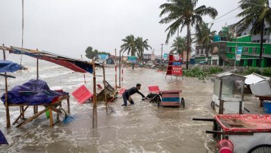 Cyclone Remal: Bangladesh evacuates 8 lakh people, sends them to concrete shelters